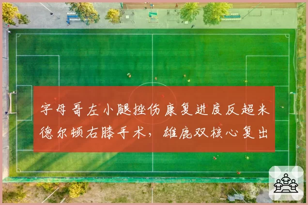 字母哥左小腿挫伤康复进度反超米德尔顿右膝手术,雄鹿双核心复出时间线考验卫冕