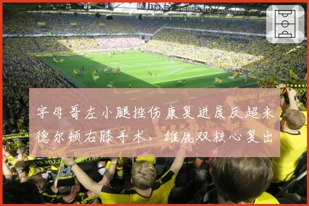 字母哥左小腿挫伤康复进度反超米德尔顿右膝手术,雄鹿双核心复出时间线考验卫冕